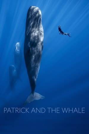 Marine videographer Patrick Dykstra explores the wondrous world of whales in this breathtaking and revealing documentary.