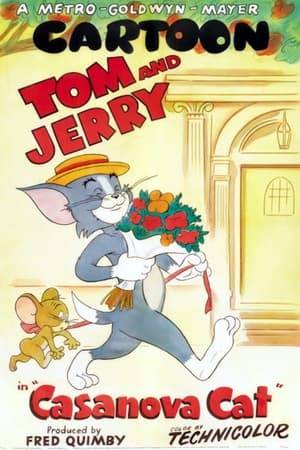 Tom heads for a big city penthouse to become acquainted with a rich pretty female cat that lives there. He brings her Jerry as a gift and does some humiliating things to Jerry. Jerry, in turn, attracts the attention of another cat who also becomes interested in the female cat. It eventually turns into a fight between Tom and the other cat for the lady's hand but Jerry is the one who gets her in the end.