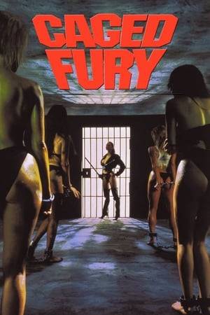 Kat arrives in Los Angeles to audition for movies. However, after meeting a sleazy producer, she and her new friend find themselves in a women's prison run by sadistic guards and a lesbian warden.