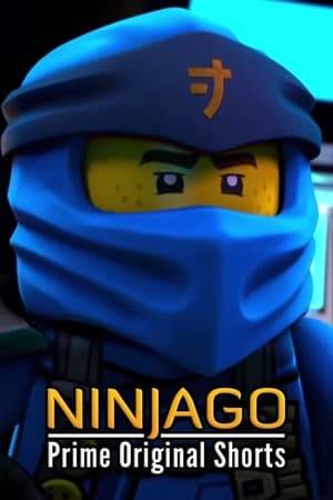 The mysterious appearance of the legendary video game "Prime Empire" has gamers excited in Ninjago City. But one by one, players are disappearing.