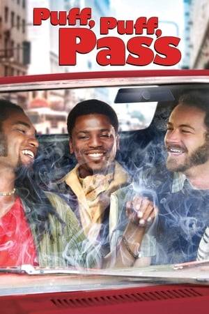 Danny Masterson (TV's 'That '70s Show') leads a hilarious ensemble cast in a tale about two hapless stoners who get involved in a scheme to rip off a shady character named Mr. Big after the duo sours on rehab.