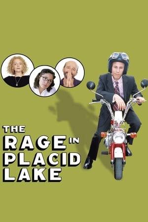 Placid Lake has always been different. As an odd fish in a sea of mediocrity, his brilliant ideas are bound to get him into more trouble than success. So when he finds himself flying off the school roof and breaking every bone in his body on graduation night, Placid decides to make a bid for the elusive normal life. To his parents' horror, he gets a normal job.