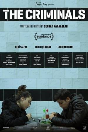 Late at night in a small Turkish town, a young couple tries to find a hotel room to spend the night together. They are rejected from all hotels for not having a marriage certificate. Once they believe they’ve found a trick to use, the situation gets out of hand.