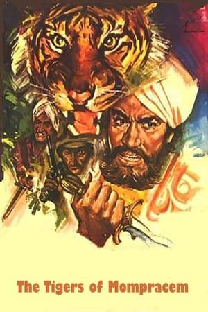 After the evil maharajah Varauni exterminated his whole family, the brave Sandokan decides to retreat on the island of Mompracem to meditate a terrible revenge against him