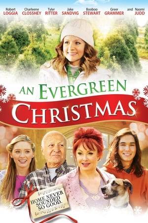Leaving her seemingly glamorous Hollywood life on hold, Evie Lee is forced to return to her small hometown of Balsam Falls, Tennessee and her family's once-thriving Christmas tree farm to attend her father’s unexpected funeral. As the eldest sibling, she finds herself executor of an estate that owes a massive inheritance tax, much to her younger brother's dismay. Torn between pursuing her music career and saving her family's legacy, she must decide what it really means to find her place in the world. Charleene Closshey stars amidst a colorful cast including Robert Loggia, Tyler Ritter, Booboo Stewart and Naomi Judd in this heart-warming musical holiday tale about facing your past, rediscovering your voice, and fulfilling your dreams.