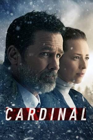 Detective John Cardinal attempts to uncover the mystery of what happened to the missing 13-year-old girl whose body is discovered in the shaft-head of an abandoned mine. At the same time, he comes under investigation by his new partner, Lise Delorme, a tough investigator in her own right.