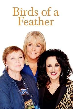 Birds of a Feather is a British sitcom that was broadcast on BBC One from 1989 until 1998 and on ITV from 2013. Starring Pauline Quirke, Linda Robson and Lesley Joseph, it was created by Laurence Marks and Maurice Gran, who also wrote some of the episodes along with many other writers.

The first episode sees sisters Tracey Stubbs and Sharon Theodopolopodos brought together when their husbands are sent to prison for armed robbery. Sharon, who lived in an Edmonton council flat, moves into Tracey's expensive house in Chigwell, Essex. Their next-door neighbour, and later friend, Dorien Green is a middle-aged married woman who is constantly having affairs with younger men. In the later series the location is changed to Hainault. The series ended on Christmas Eve 1998 after a 9-year-run.