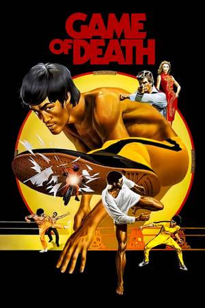 A martial arts movie star must fake his death to find the people who are trying to kill him.