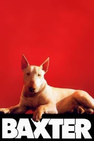 A white Bull Terrier named Baxter is given to an elderly woman by her daughter. As time passes, the dog develops aggressive and murderous behavior in order to be adopted by another family.
