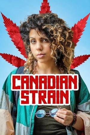 When cannabis becomes legal in Canada, boutique weed dealer Anne Banting is swiftly run out of business by the biggest gangsters in town - the government.