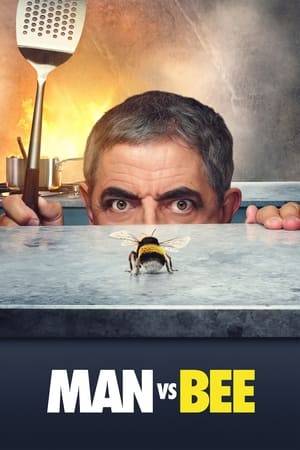 A man finds himself at war with a bee while house-sitting a luxurious mansion. Who will win, and what irreparable damage will be done in the process?