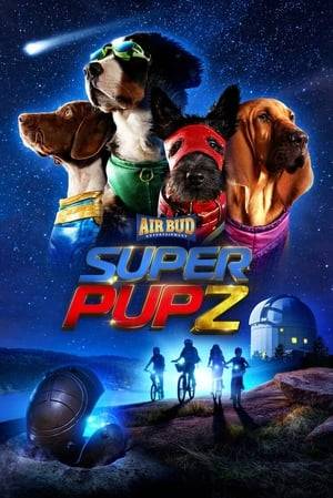Four pups with superpowers team up to help their new friends and a furry alien comrade in this cuddly, cosmic adventure.
