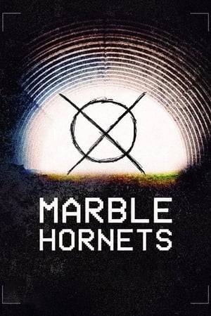 When film student Jay gets some tapes from his friend Alex containing footage of a cancelled film project called Marble Hornets, he is followed by an entity called The Operator and finds out the secrets behind the tapes.