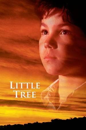 Little Tree is an 8-year-old Cherokee boy, who, during the time of the depression, loses his parents and starts to live with his Indian grandma and grandpa and learn the wisdom of the Cherokee way of life.