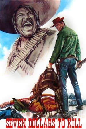 A little boy is abducted by ruthless bandit gang leader El Cachal after Cachal and his men butcher the boy's family with the exception of his father. Johnny Ashley, the gunslinger father of the boy, goes searching for his son. Alas, the boy has grown up to be a mean and vicious criminal.
