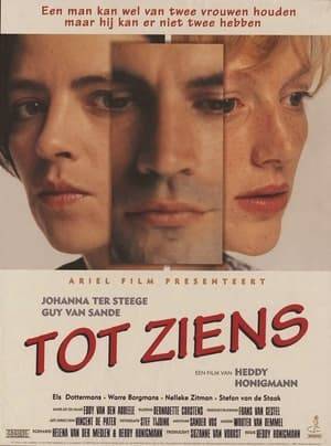 A woman falls in love with a married, Belgian man. She finds out that he's married too late... although it's the second thing he says. The rest of the film is about the struggle of the man between his two loves, and of the woman not able to finish the hopeless and dangerous relationship. The title "tot ziens" (au revoir, a farewell greeting that implicates that one will see eachother again), is the ironic description of the film, which is about going away for good and then coming back again, because something is always stronger than your ratio.