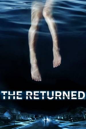 A small town that is turned upside down when several local people, who have long been presumed dead, suddenly reappear; their presence creates both positive and negative consequences. As families are reunited, the lives of those who were left behind are challenged both physically and emotionally.