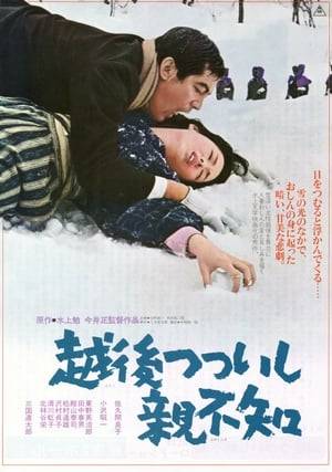 A sake factory worker on holiday returns to his home town, where he rapes the wife of one of his co-workers in the forest. The other man returns home to find his wife changed and suspects that she has been unfaithful.