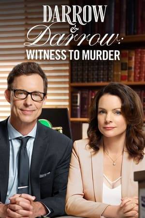 Attorney Claire Darrow defends an old colleague of her mother's for murder. Things get complex when Claire's romantic interest, Miles, is named as prosecuting attorney on the case.