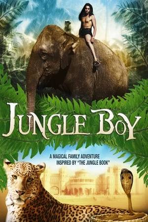 A boy's life is changed forever when he becomes lost in the jungle and is raised by animals.