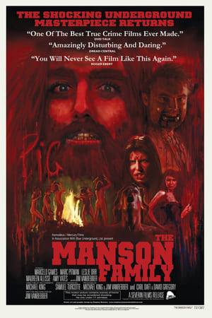 A dramatization of the horrific and notorious Manson Family Murders, in the form of super 8 home movies.
