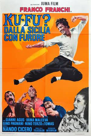 The Sicilian Franco is a sort of imitation of Bruce Lee that Don Vito, a Chinese expelled from his country because he smuggled rice from Palermo to Beijing, tries to train in the art of kung-fu with disastrous results.