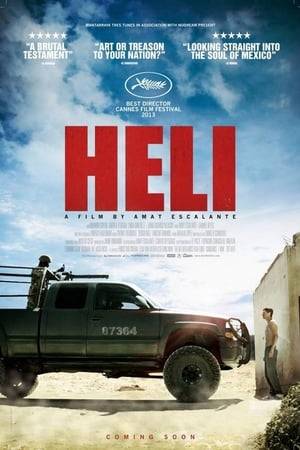 Heli must try and protect his young family when his 12-year-old sister inadvertently involves them in the brutal drug world. He must battle against the drug cartel that have been angered as well as the corrupt police force.