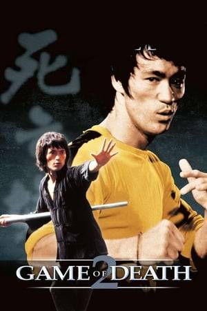 In this dark tale of revenge, Bruce Lee "returns" as Billy Lo, whose best friend Chin Ku dies of a sudden illness. But suspicion of foul play arises when a gang tries to steal Ku's coffin at the funeral using a helicopter. When Lo's younger brother Lo hears about the incident, he leaves his Buddhist master to investigate the truth. His trail soon leads him to the Castle of Death, the last place Chin Ku was seen alive. There, he meets and befriends an unlikely ally--a cruel and merciless martial arts expert  who is also the tower's master. But when the master dies under mysterious circumstances, Lo ends up dueling with someone far more terrifying.