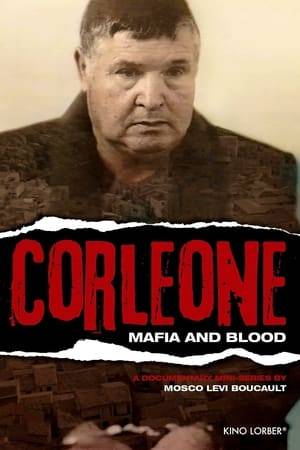 How, from 1974 to 1993, Totò Riina (1930-2017), supreme boss of the Corleone family, ruled by blood and terror over the Sicilian Mafia. An implacable account, based on the testimony of his men and those who fought against them.