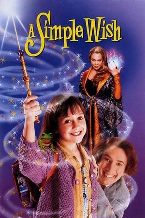 Murray is a male fairy godmother, and he is trying to help 8-year-old Anabel to fulfil her "simple wish" - that her father Oliver, who is a cab driver, would win the leading role in a Broadway musical. Unfortunately, Murray's magic wand is broken and the fairies convention is threatened by evil witches Claudia and Boots.
