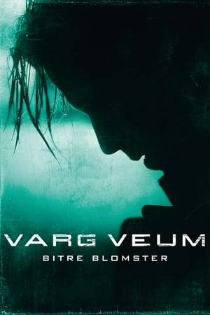 Karsten Aslaksen, chief engineer of a large chemical company, disappears without trace. His married lover, a successful politician named Vibeke Farang, approaches private investigator Varg Veum to track him down discreetly.