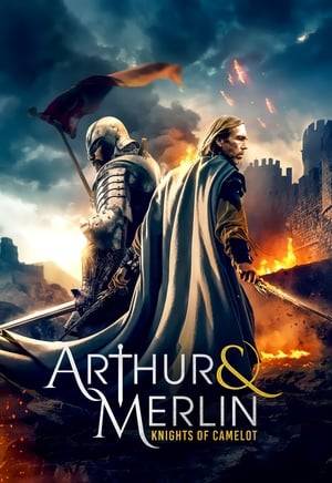 King Arthur returns home after fighting the Roman Empire. His illegitimate son has corrupted the throne of Camelot and King Arthur must reunite with the wizard Merlin and the Knights of the Round Table to fight to get back his crown.