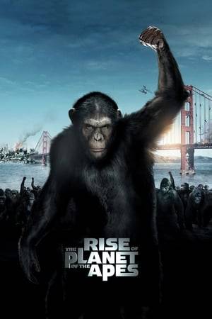 A highly intelligent chimpanzee named Caesar has been living a peaceful suburban life ever since he was born. But when he gets taken to a cruel primate facility, Caesar decides to revolt against those who have harmed him.