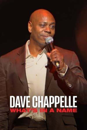 Dave Chappelle delivers a speech at his prestigious alma mater that reflects on his comedy roots, his rise to fame and why artists should never behave.