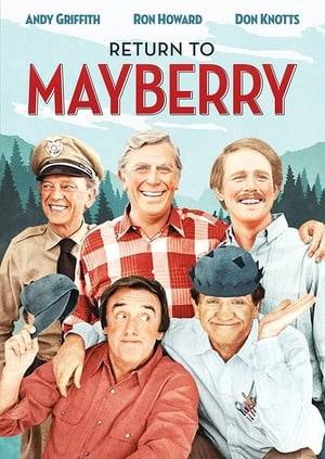 After being away for awhile, Andy Taylor returns home to Mayberry to visit Opie, now an expectant father. While there he ends up helping Barney Fife mount a campaign for sheriff.
