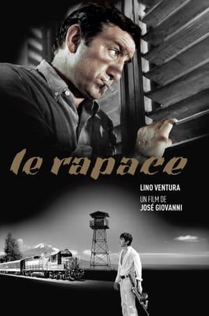 1938, a Central America country. A Frenchman who goes by the name "Le Rital" is hired to take out the local dictator. Young Chico is assigned as his right-hand man, whom he impresses. Will a friendship form between them?