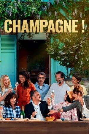 Springtime in the French vineyards of Champagne. Patrick has gathered his oldest friends for his bachelor party. The trouble is, everyone hates his future wife. This could thus become one hellish weekend in gourmet paradise.