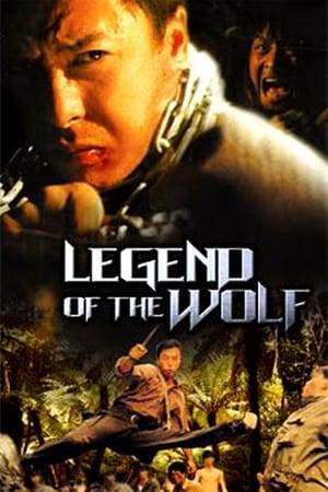 Wolf is a war veteran who recounts the tale of his legendary youth to a young upstart killer. Flashback to a post-World War 2 time when the young Wolf is wandering the Chinese countryside in search of his missing memories. He only knows to meet someone at an abandoned temple. He ends up hooking up with a local villager, who intends to guide the Wolf to his destination. On the way, they find Wai-Yee, who’s been waiting for Wolf for quite some time. However, Wolf still can’t remember anything, until the bad guys come to find him, and they bear the terrible secret of the Wolf's past.
