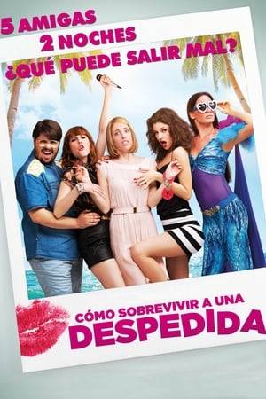 A group of girls taking a trip to celebrate a bachelorette party in which they will rediscover themselves.