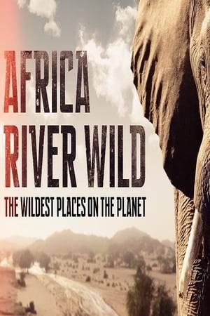 Africa's rivers are the wildest places on our planet. Bursting with life, they are home to an array of wildlife who depend on the rivers for their survival.
