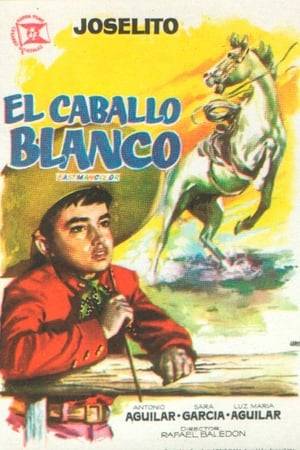 Claimed by his grandmother, who lives in a Mexican village, Joselito begins the journey from Spain. Once there, while traveling in a stagecoach, is assaulted by bandits. Joselito manages to escape and, walking aimlessly, he meets Antoine, a rider who is ex officio of random player, and become close friends.