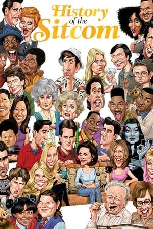 This docuseries reunites audiences with the television friends, families, and co-workers they grew up with while introducing cutting-edge comedies that are sure to be your next binge-watch. Featuring over 180 original interviews with sitcom icons  the series breaks down how sitcoms have helped generations of Americans navigate an ever-shifting cultural landscape.