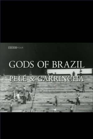 Documentary telling the story of legendary Brazilian footballers Pelé and Garrincha, whose emergence following Brazil's defeat at home in the 1950 World Cup Final heralded the dawn of a golden age of football for the country. But while one man became known as the world's greatest footballer, the other died a broken alcoholic at the age of 49.