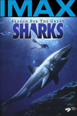 A journey into the land of sharks. The old myth of swimming killing machines is put against the true nature of those rather peaceful hunters, whose evolution ended in biological perfection millions of years ago. We accompany expeditions of Dr. Eugenie Clark and Rodney Fox, who have studied sharks since the 1950's.