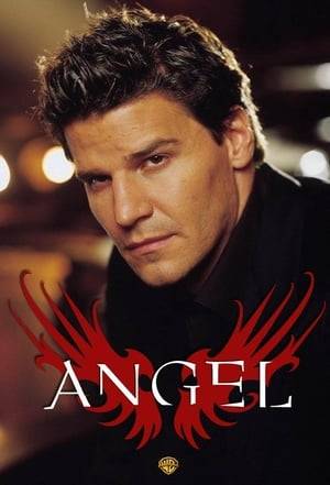The vampire Angel, cursed with a soul, moves to Los Angeles and aids people with supernatural-related problems while questing for his own redemption. A spin-off from Buffy the Vampire Slayer.