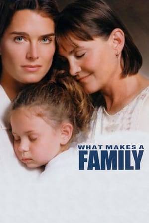 Janine and Sandy are a lesbian couple who decide to have a baby, but after a few years Sandy dies. This tragedy is exploited by Sandy's parents to snatch the girl from Janine's care. But then, and despite having the laws against her, Janine decides to fight in order to regain custody of her daughter.