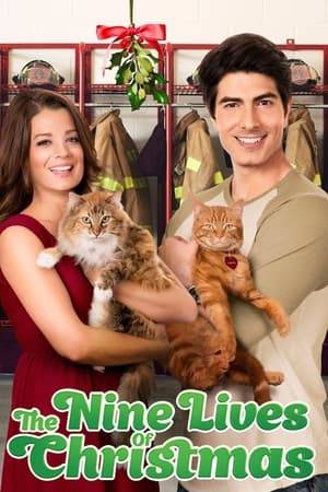 With Christmas approaching, a handsome fireman afraid of commitment adopts a stray cat and meets a beautiful veterinary student who challenges his decision to remain a confirmed bachelor.