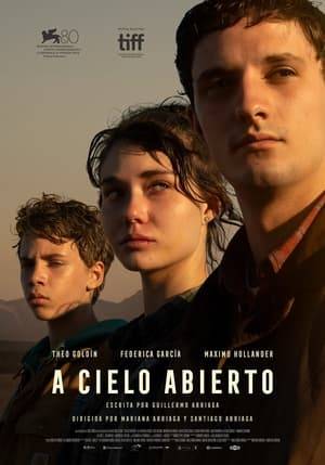 Two teen brothers and their newly-met stepsister take a road trip to the Mexico-U.S. border in a tense revenge journey to track down the man responsible for the accident that caused their father's death.