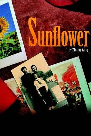 Sunflower is the story of the Zhang family in Beijing father, mother and son across three decades, centering on the tensions and misunderstandings between father and son. Nine-year-old Xiangyang is having the time of his life, free of adult supervision until the day he meets the father he can hardly remember. Having spent years away, he returns with strong ideas about his son learning to draw. But Xiangyang chafes under his father's constant rules and soon stages his own revolution against the lessons enforced.