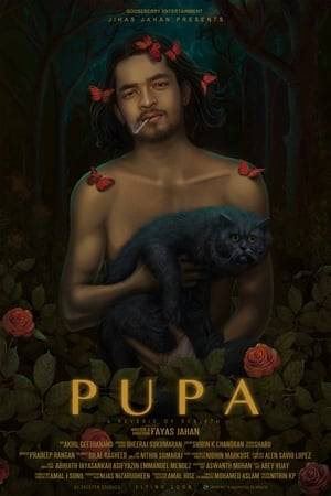 Pupa symbolises a dark room; a room that contains the mental conflicts of human identity. Our protagonist is an artist who is left alone in that chaotic space. His disturbed mind undergoes a drastic change when he is exposed to a metaphoric memory.